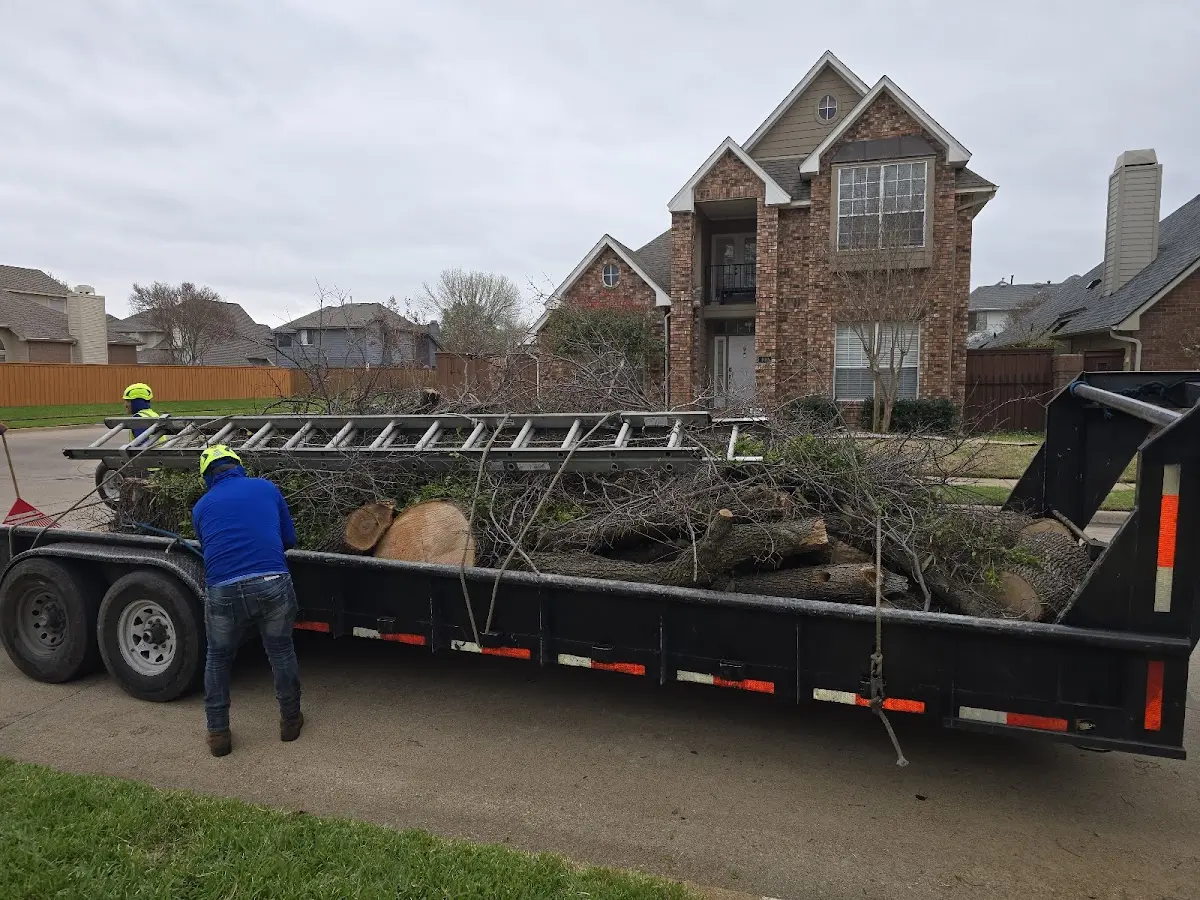 Expert Tree Fertilization with proper safety equipment in Krakow